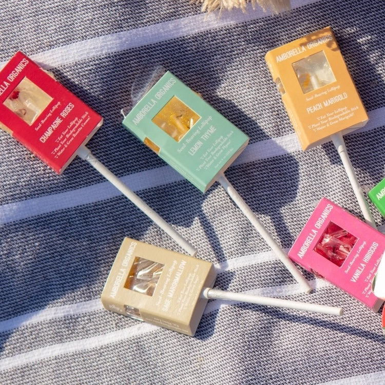 Single Seed-Bearing Lollipop