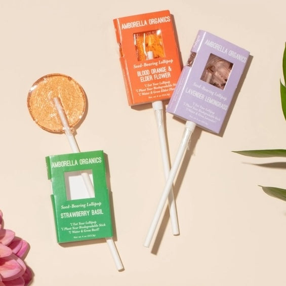Single Seed-Bearing Lollipop