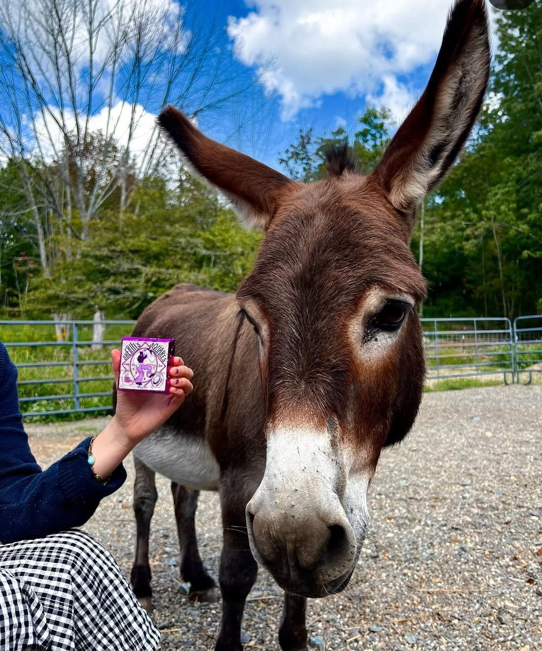 Sheriff's Square Chocolate Bar-for Song of the Robin Sanctuary