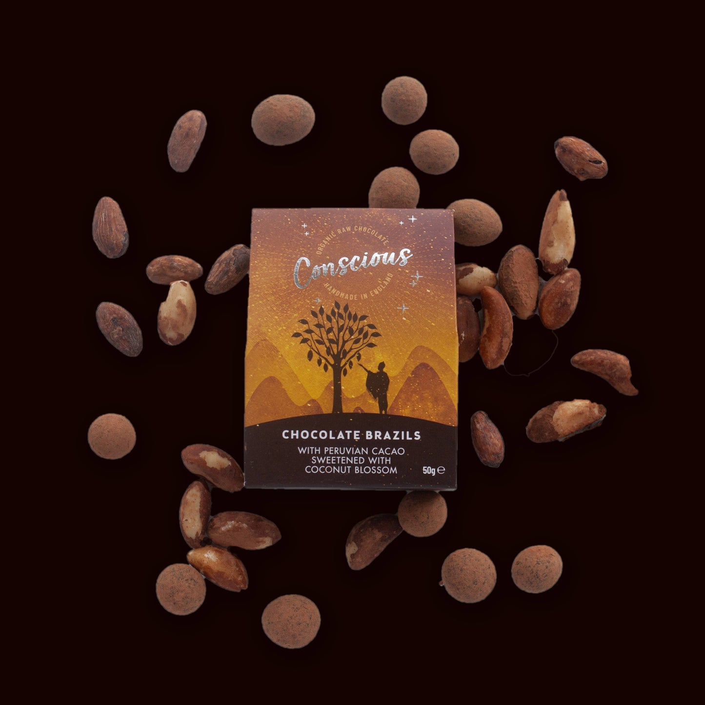 Chocolate Brazils Raw Organic Snack