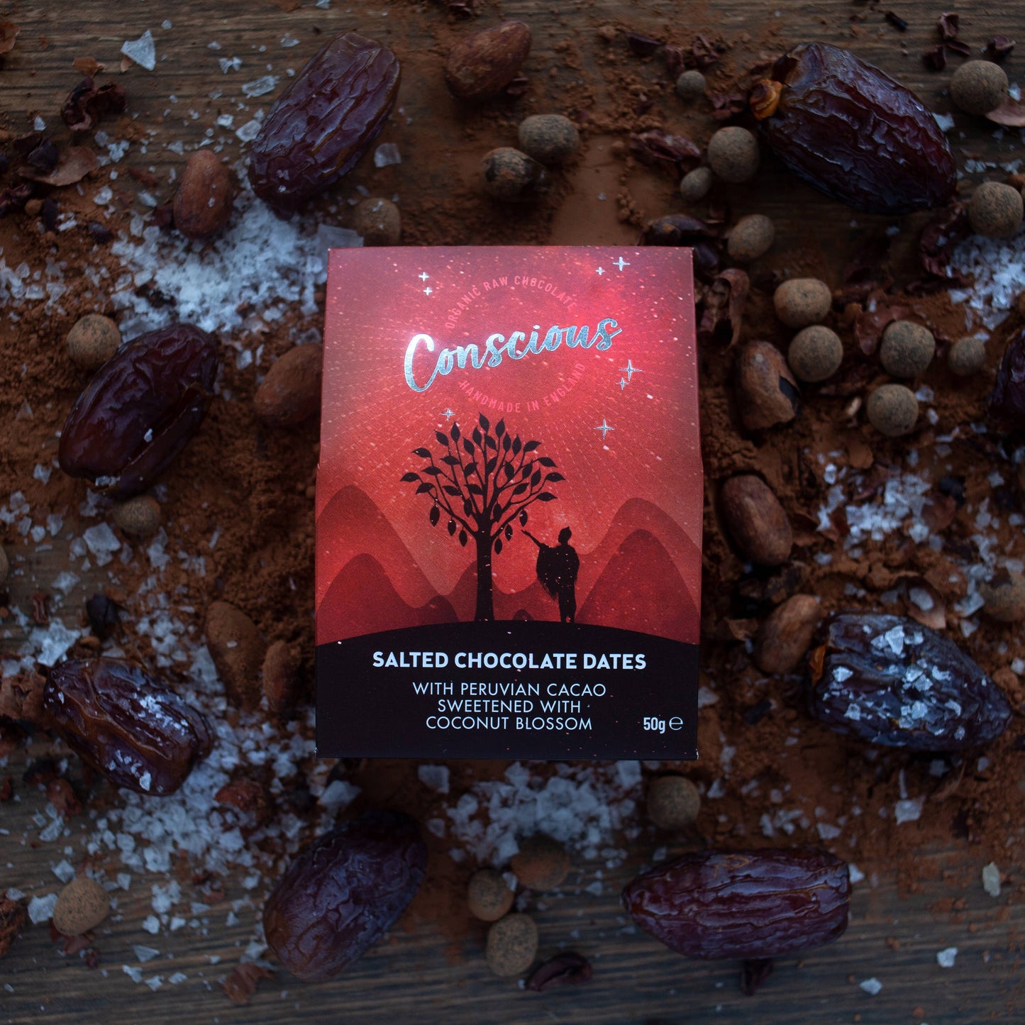 Salted Chocolate Dates Raw Organic Snack